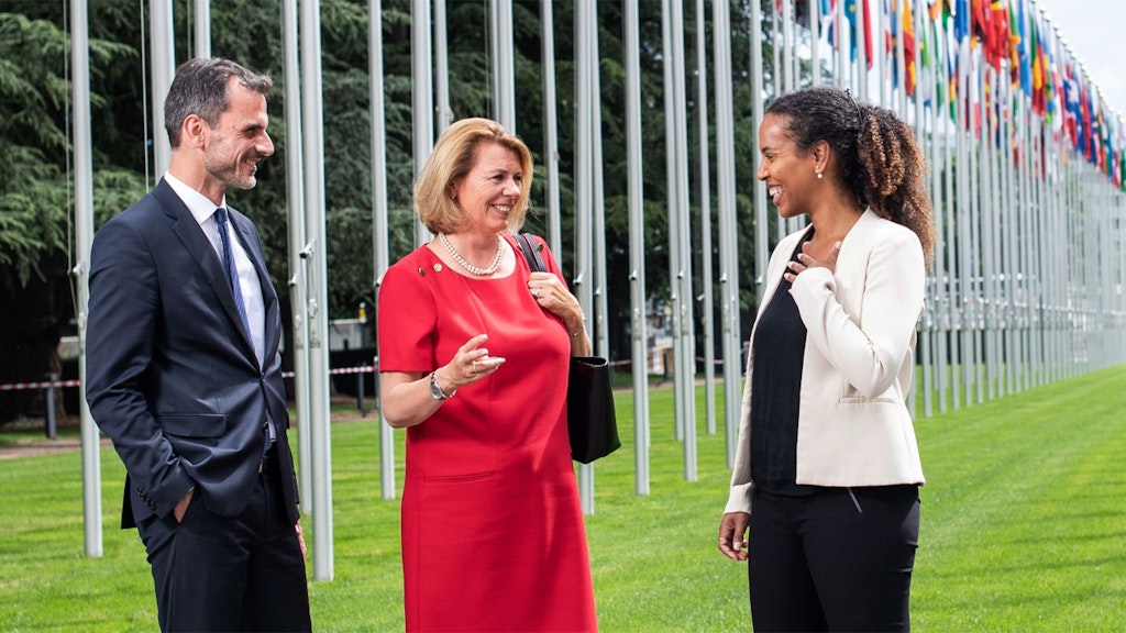 Three people in formal attire stand on a lawn in front of a row of flagpoles, engaged in conversation.
