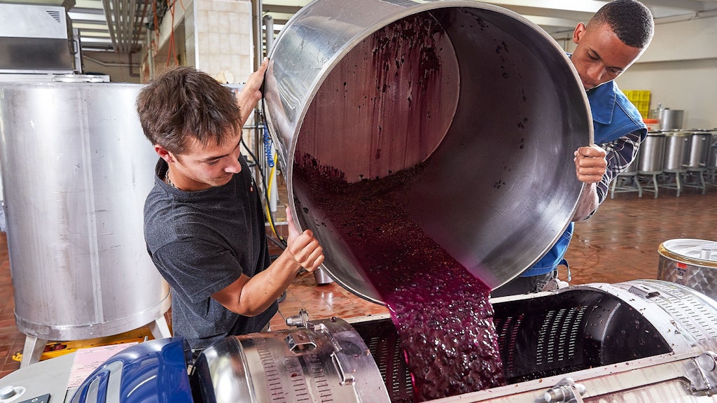 Due persone versano uva rossa da un grande serbatoio in acciaio inox in una macchina in un laboratorio di produzione.
