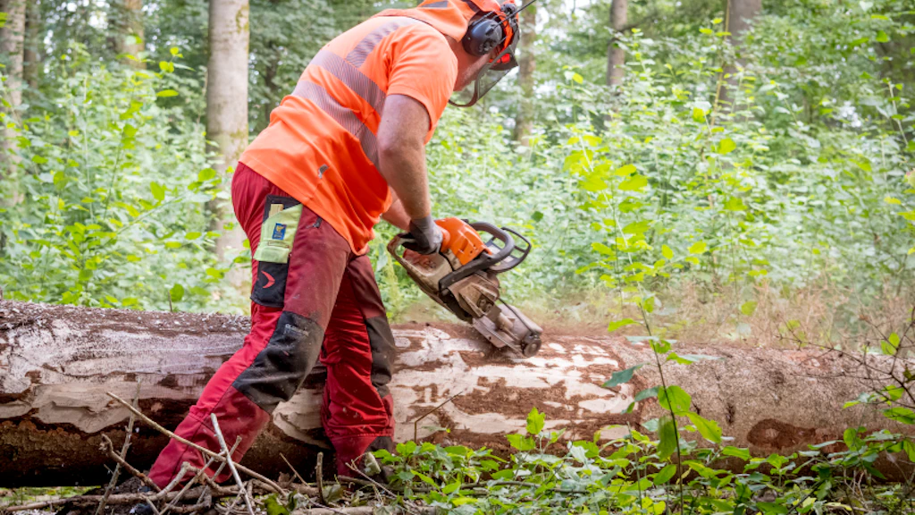 Persona con casco arancione, protezioni acustiche e gilet ad alta visibilità arancione utilizza una motosega su un tronco abbattuto nel bosco. Vegetazione fitta e fogliame verde circostante. Pantaloni da lavoro rossi con inserti riflettenti.