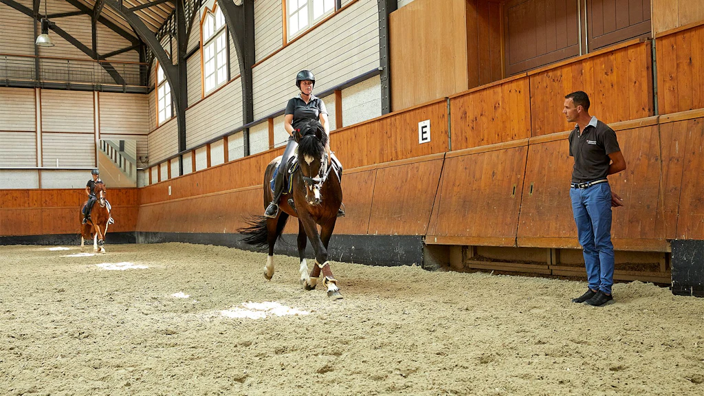 Cavaliere su cavallo marrone in maneggio coperto, uomo in piedi osserva la lezione.